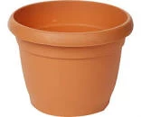 Ghiveci Dana 18cm